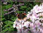 Die allerherzlichsten Gl�ckw�nsche...