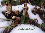 Frohe Ostern