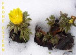 Frohe Ostern