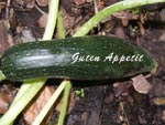 Zucchini